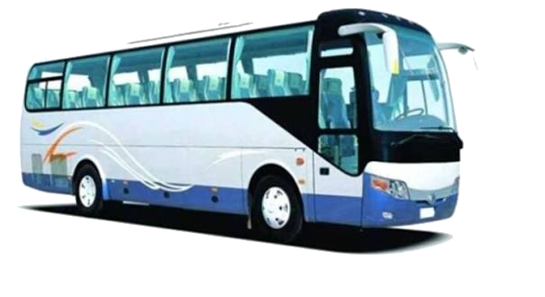 Bus service
